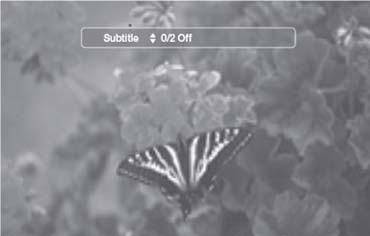 Using the SUBTITLE button (BD-ROM, DVD-VIDEO)
