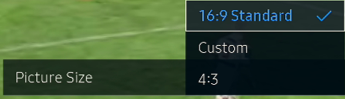 Picture Size option