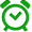 Alarm On icon