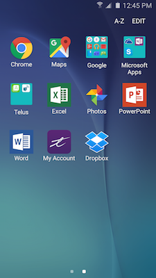 How do I delete all of my personal information from my Galaxy S5 Neo?
