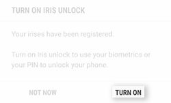 Iris recognition 4