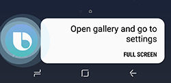Bixby 2
