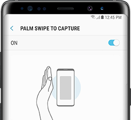 Enable Palm Swipe