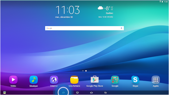 Galaxy View: Affichage fractionné (SM-T670)