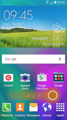 Galaxy A5: Les indispensables Galaxy (SM-A500W)