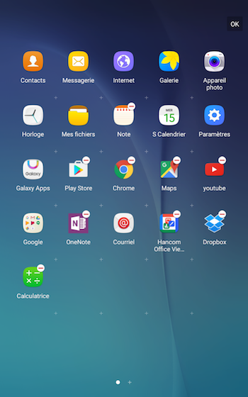 Application 13