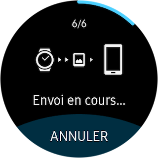 Capture 11