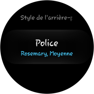 Police 13