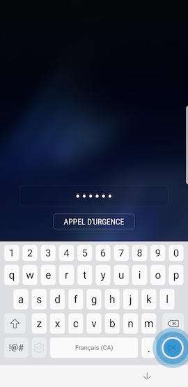 Saisissez votre mot de passe et touchez « OK » pour déverrouiller votre appareil mobile