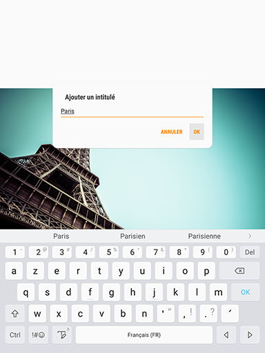 Galaxy Tab S3: Dessiner ou écrire sur une photo (SM-T820)