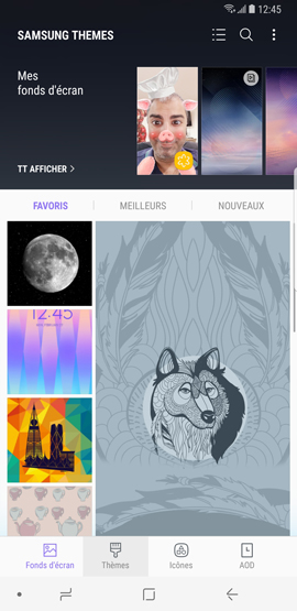 Galaxy Note8: Télécharger et installer un thème (SM-N950W)
