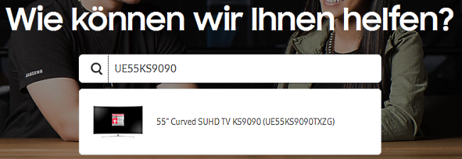 Software von Samsung-Smart-TV mit USB-Stick aktualisieren, Eingabemaske auf Webseite
