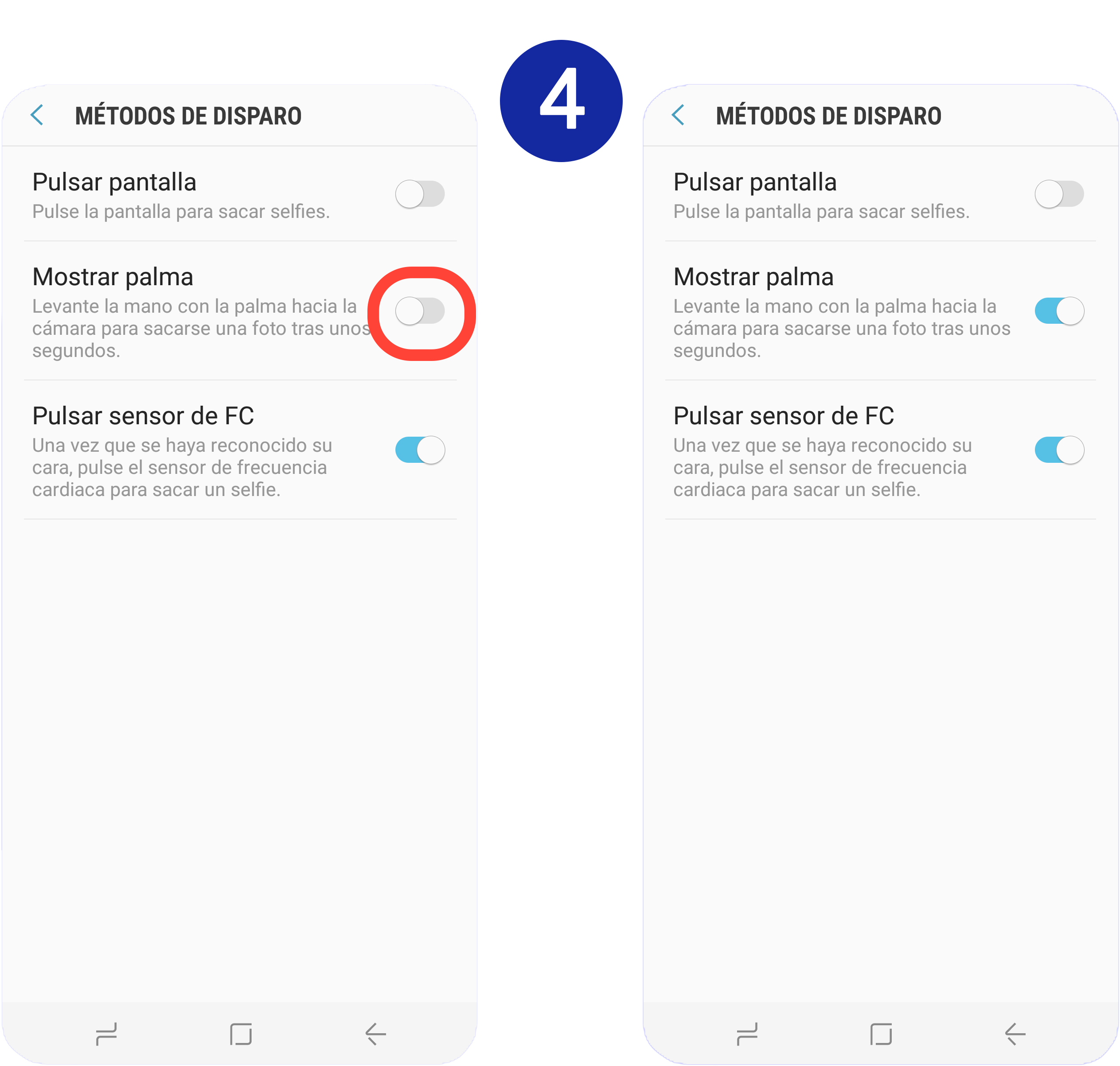 Movemos hacia la derecha el interruptor situado junto a "Mostrar palma"