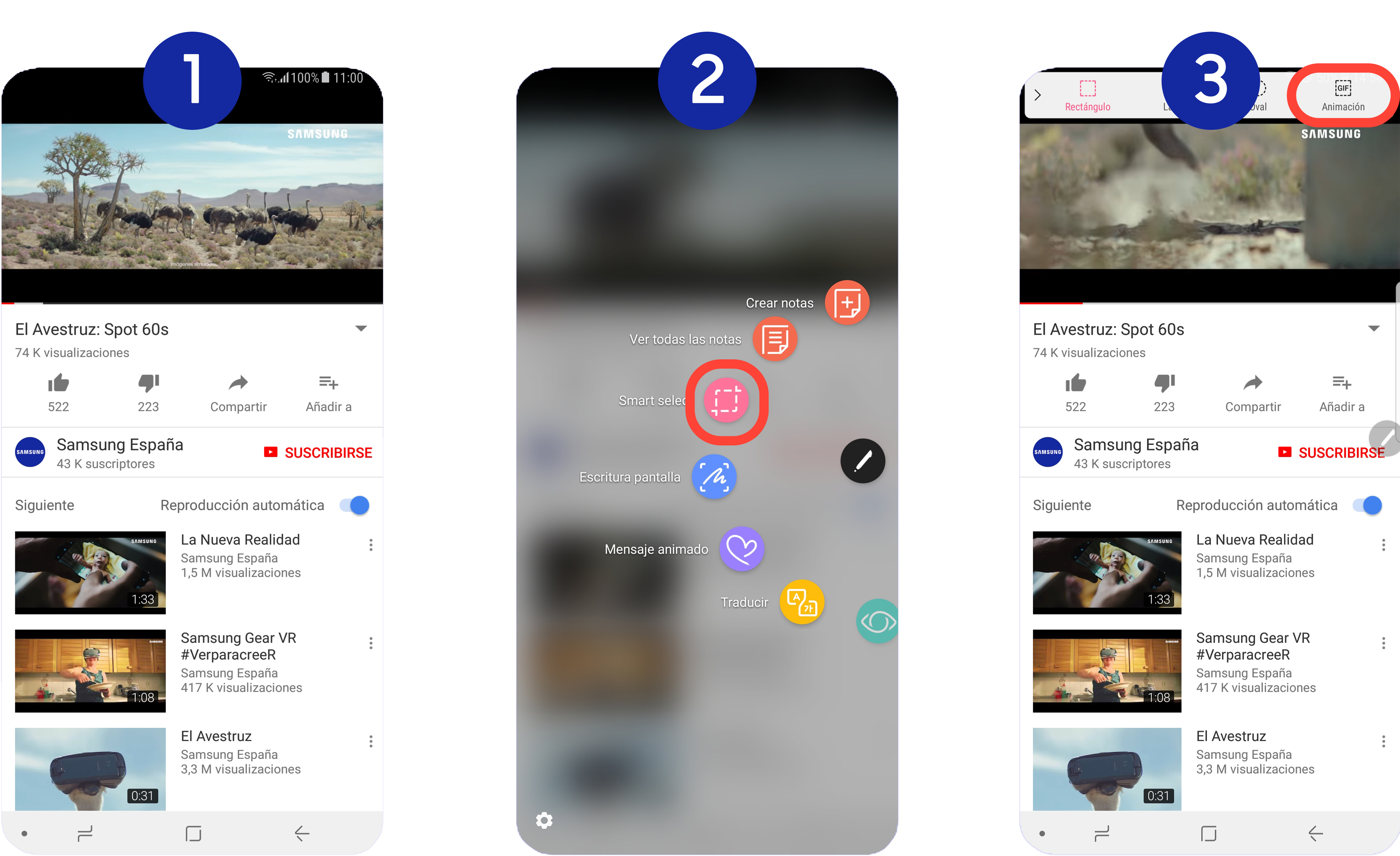 ¿Cómo capturar una parte de la pantalla para crear un GIF?