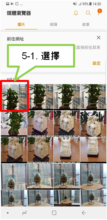 如何使用「景深即時預覽」模式拍攝特寫鏡頭?