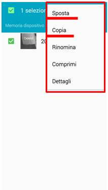 Selezionando copia sposta