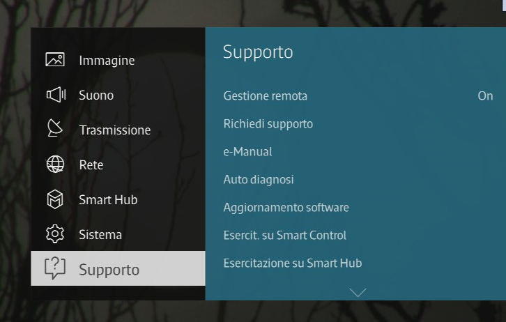 Menù Supporto Smart TV