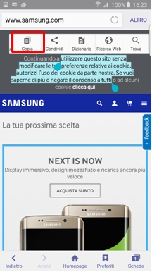 Seleziona Copia