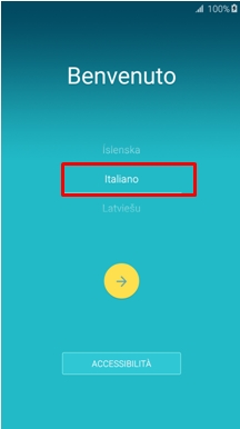 Nella prima schermata compare la lingua da selezionare