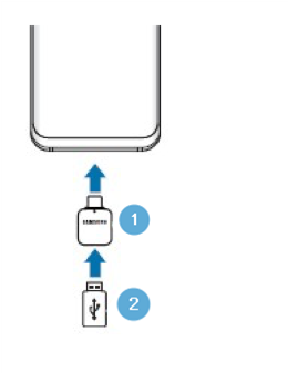 Inserisci il connettore USB (USB Tipo-C)