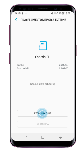 Clicca “Esegui backup”