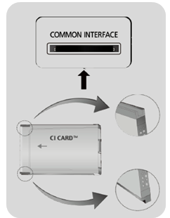 Connexion à une fente de carte de visionnement TV