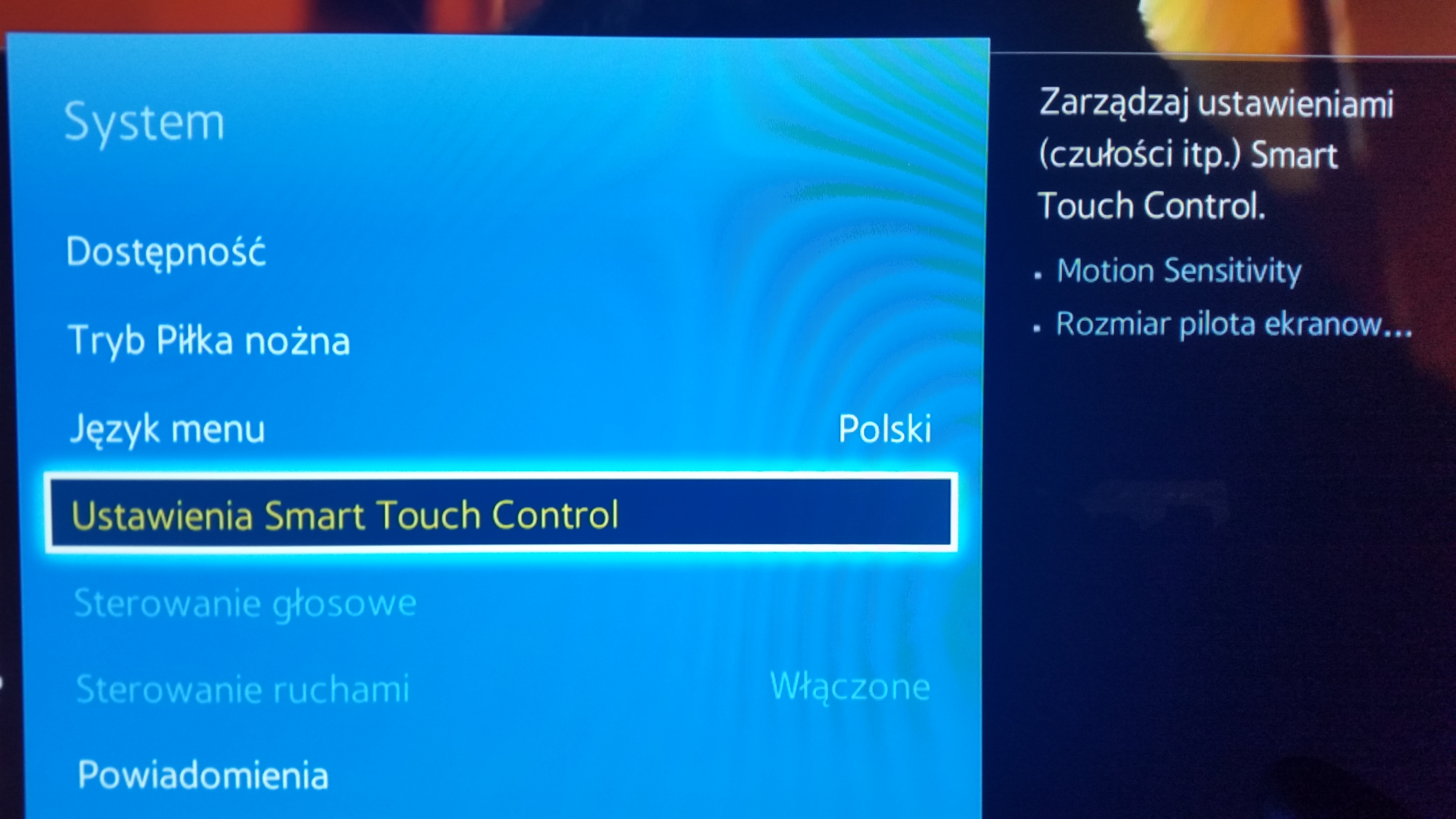 Ustawienia Smart Touch Control