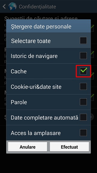 Apăsați caseta de selectare de lângă Cache așa că este bifată