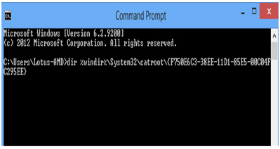 Run Command Script in Command Prompt Window