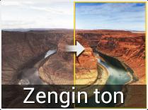 Zengin Ton Zengin Ton