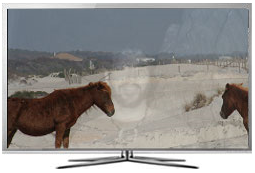Televizoarele LED Samsung prezinta retenţii ale imaginii?