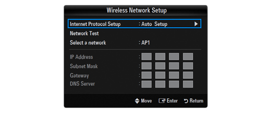 Wireless Network Setup > Internet Protocol Setup > Auto Setup