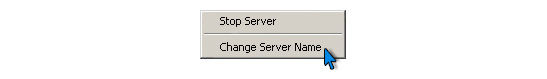 WiseLinkPro PC Server > Change Server Name