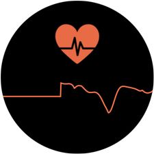 s3 frontier heart rate monitor