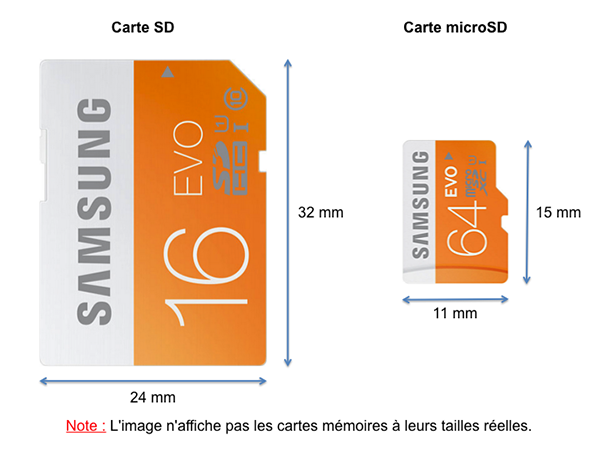 Quelle est la différence entre une carte SD et une carte microSD ?